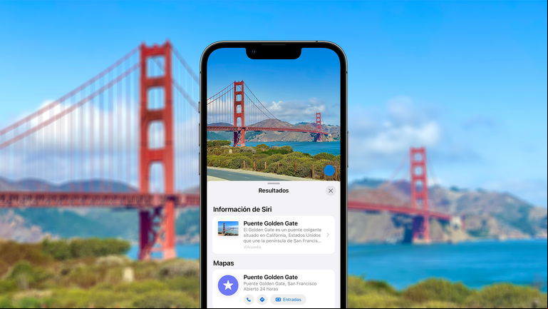 El truco secreto de tu iPhone para identificar un lugar, una obra de arte, una planta o una mascota