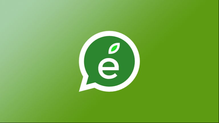 Canal oficial en WhatsApp de iPadízate: ¡Síguenos, ya estamos verificados!
